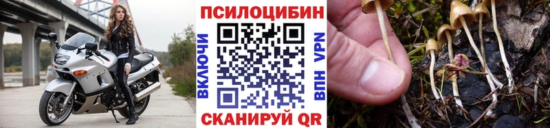 хочу Фёдоровский Псилоцибиновые грибы Magic Shrooms